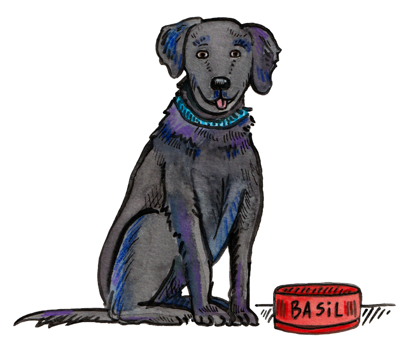 an illustration of a black lab, sitting politely by a red dog food dish labeled Basil © Gracie H Vandiver